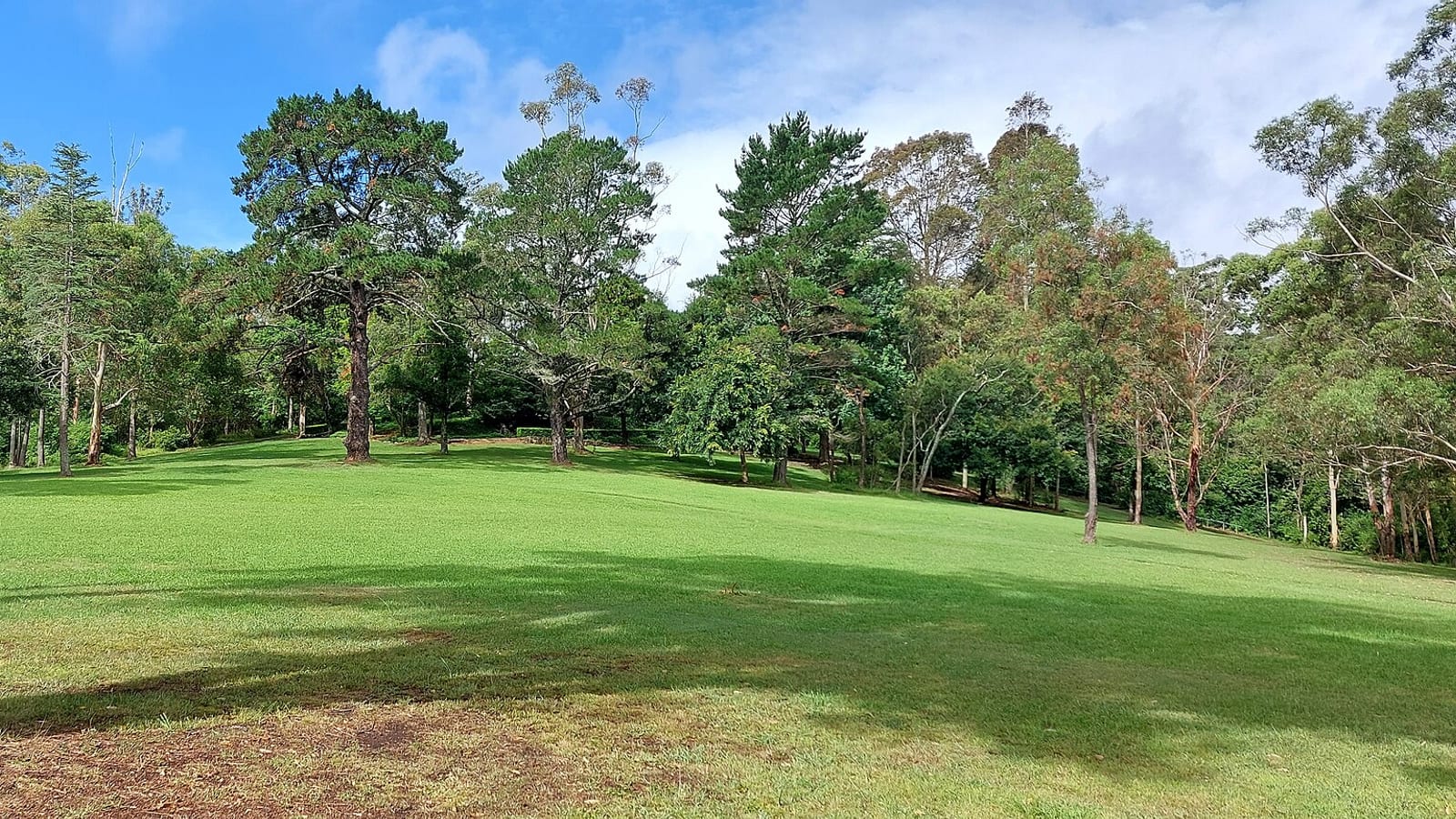 Open grass and trees at Castle Hill Heritage Park