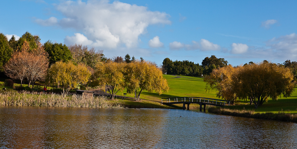Lake and gardens at Fagan Park in Galston