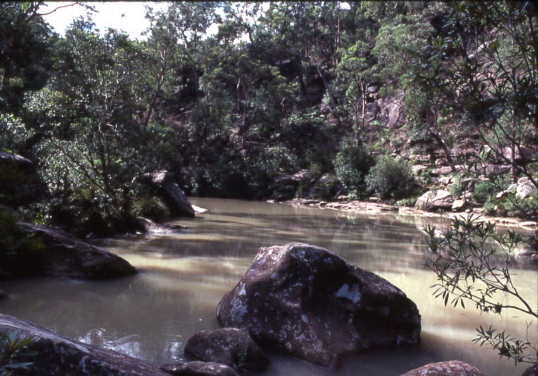 Rocky Glenbrook Creek in Blue Mountains National Park