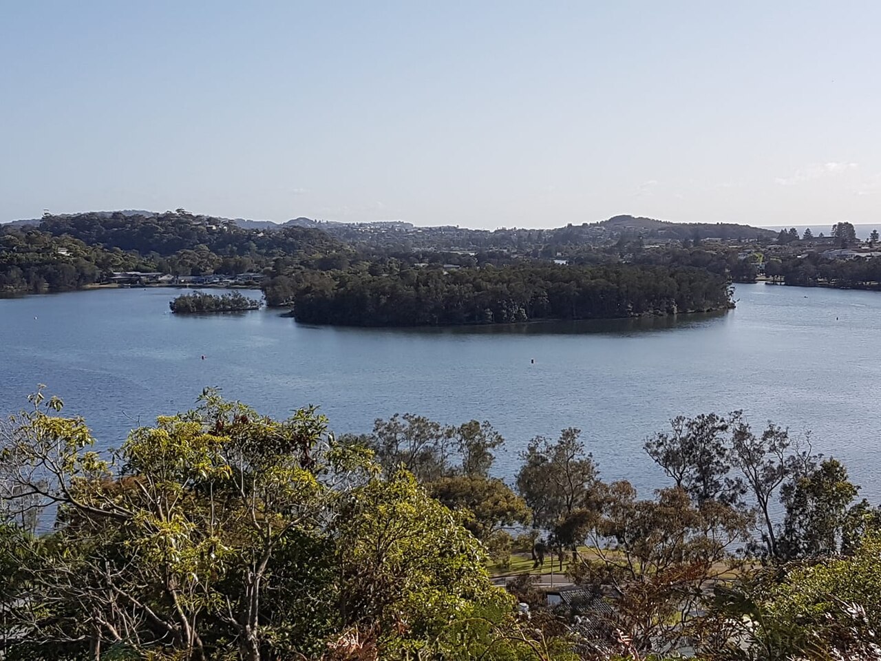 Narrabeen Lagoon seen across surrounding vegetation