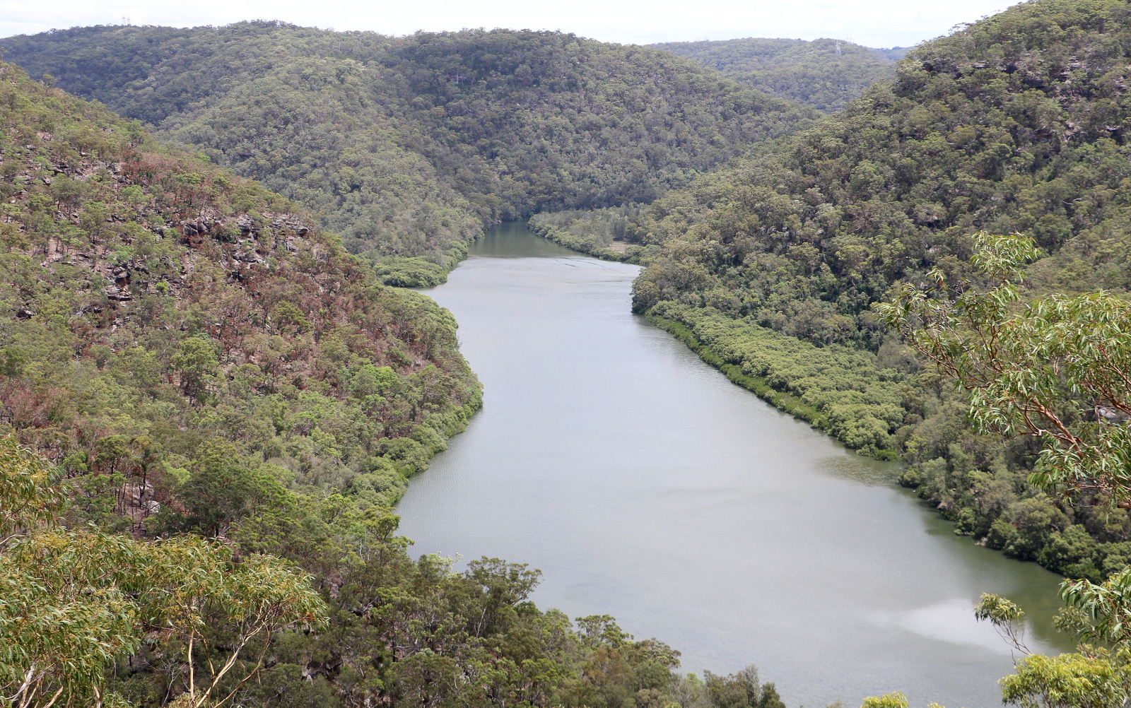 Berowra Creek in Berowra Valley National Park