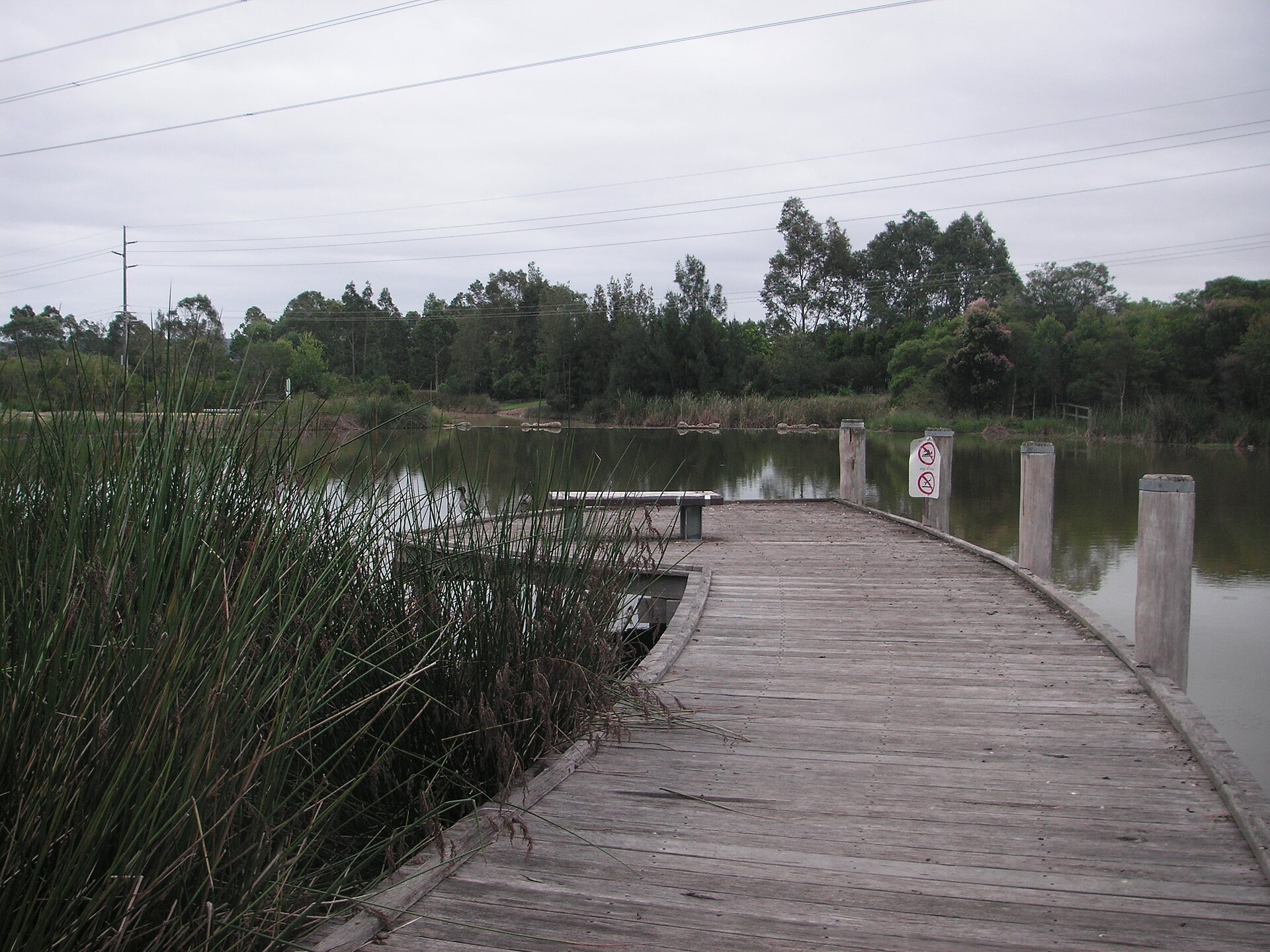 Blue Hills Wetland in Glenmore Park