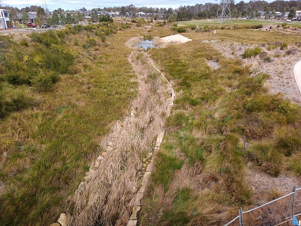Wetlands and drainage channel at Brick Kiln Park, Jordan Springs