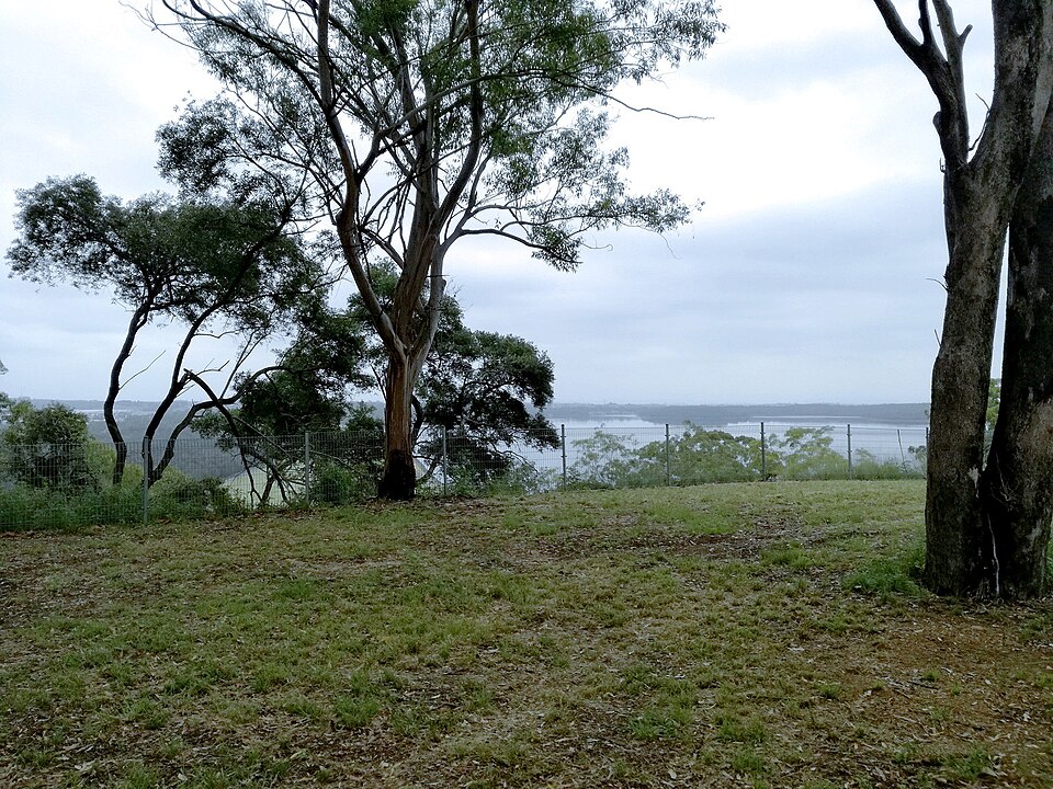Trees and Prospect Reservoir viewed from George Maunder Lookout