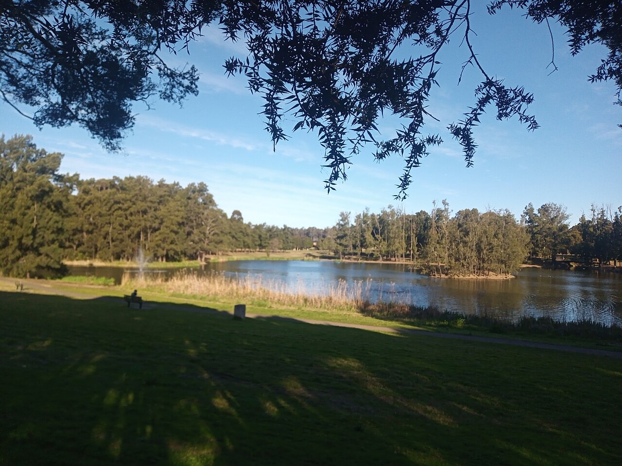 Werrington Lake with trees and grass around the water